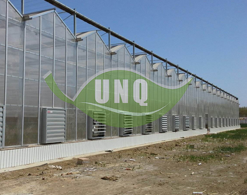 陽(yáng)光板溫室